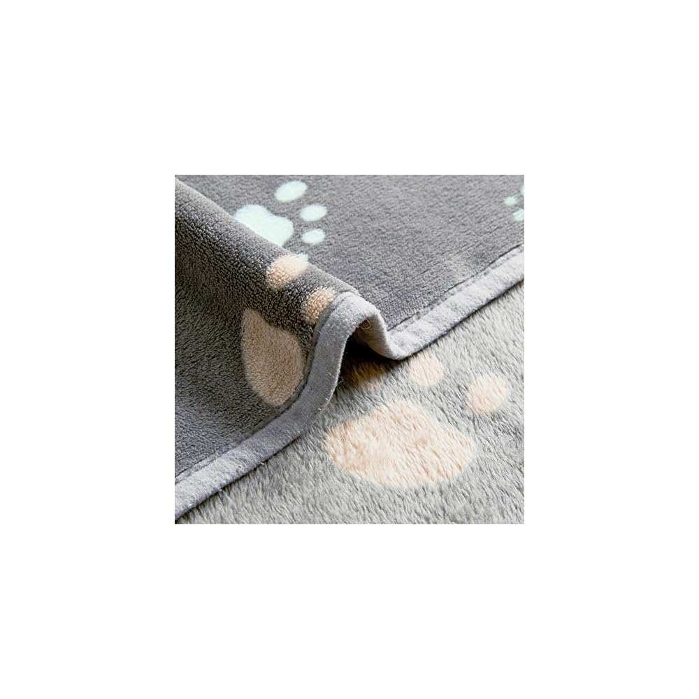 Super Soft and Premium Fuzzy Flannel Fleece Pet Dog Blanket, The Cute Print Design Washable Fluffy Blanket for Puppy Cat Kitten Indoor Outdoor, Grey, 32 x 24 Inches