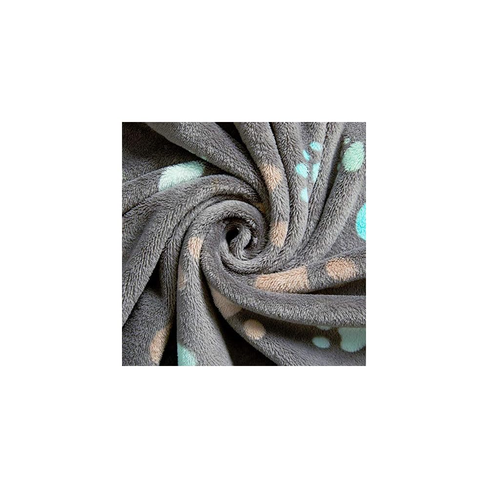 Super Soft and Premium Fuzzy Flannel Fleece Pet Dog Blanket, The Cute Print Design Washable Fluffy Blanket for Puppy Cat Kitten Indoor Outdoor, Grey, 32 x 24 Inches